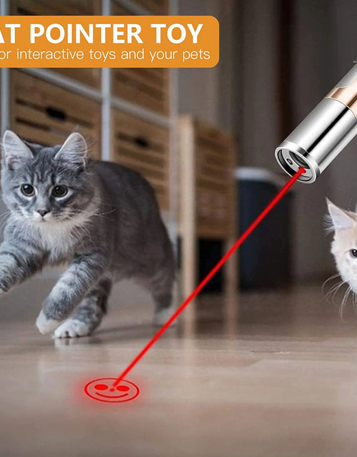 Load image into Gallery viewer, Juguete Puntero Láser Recargable Para Gatos, Juguete Interactivo Para Gatos, Gatitos Y Perros Con Ratón, Plateado
