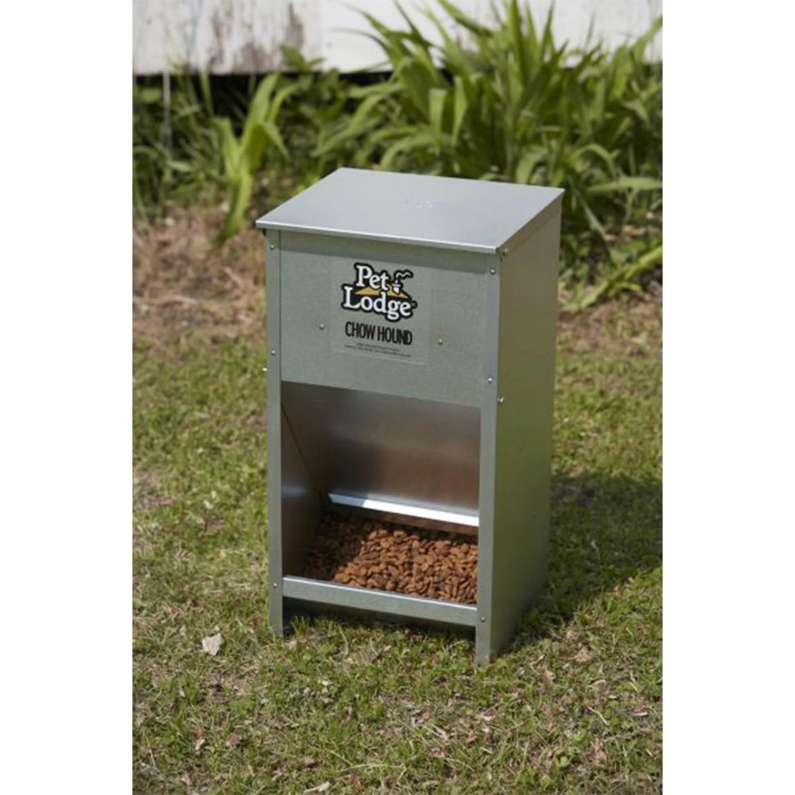 Alimento Seco Automático De Acero Para Perro Chow Hound Capacidad De 25 Libras