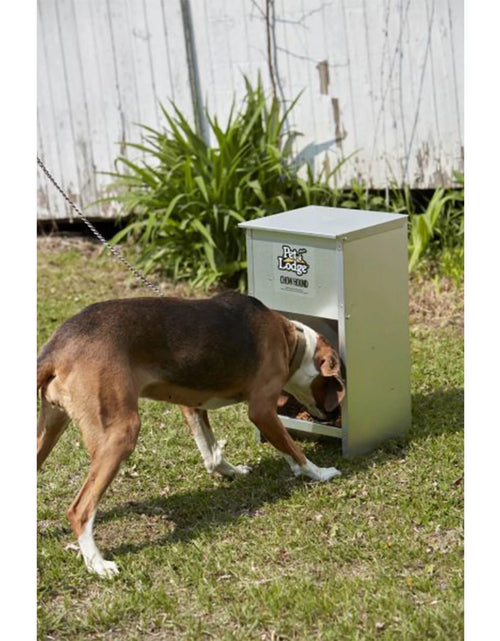 Load image into Gallery viewer, Alimento Seco Automático De Acero Para Perro Chow Hound Capacidad De 25 Libras
