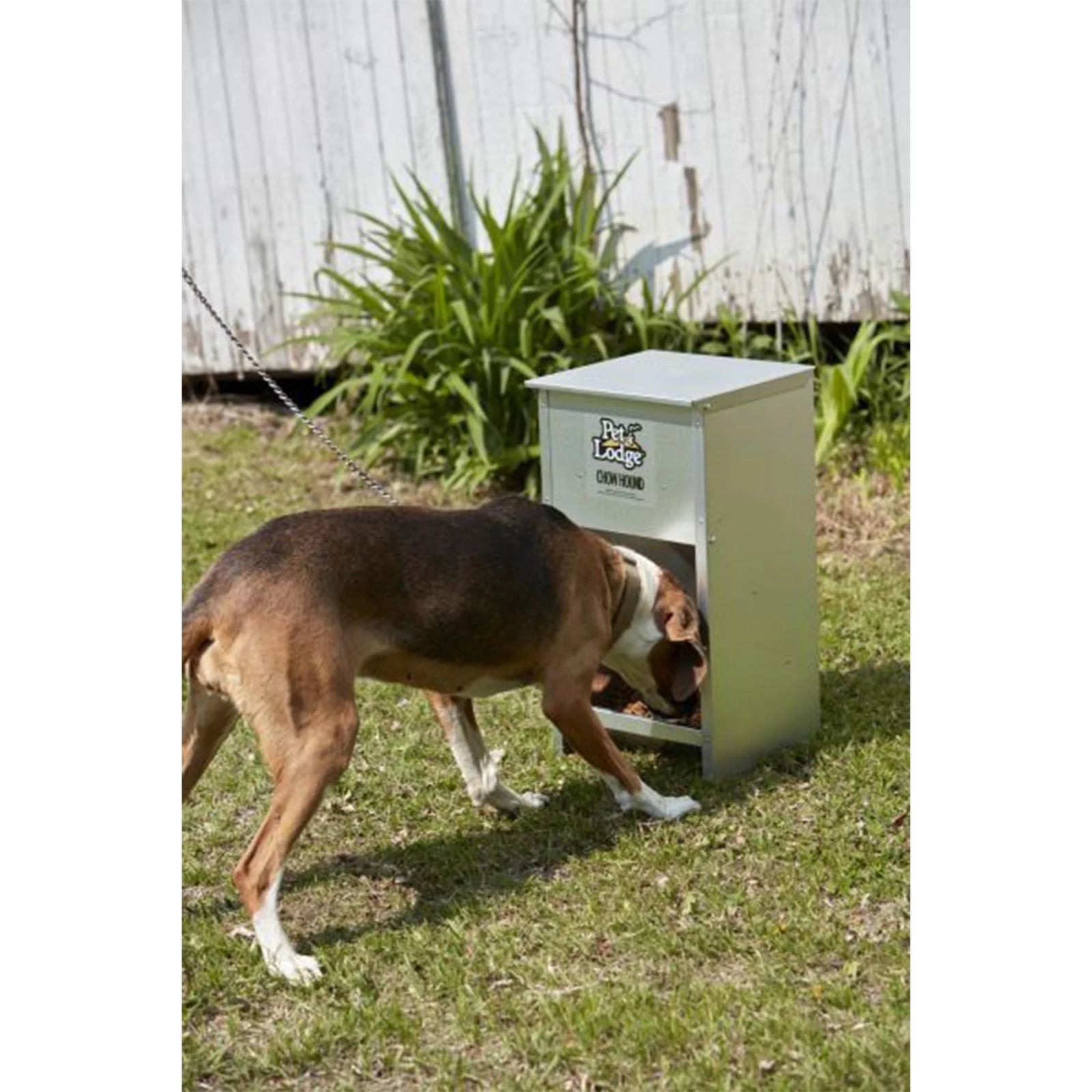 Alimento Seco Automático De Acero Para Perro Chow Hound Capacidad De 25 Libras