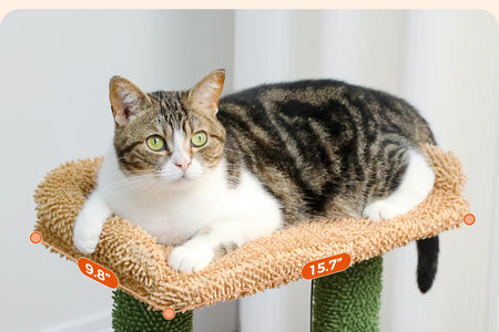 Cat Tree 33" Cute Cactus Cat Scratching Posts Tower with Large Top Perch and Hammock for Medium Indoor Cats, Green