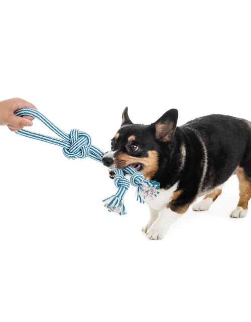 Load image into Gallery viewer, Flossy Chews 18" Extra Double-Tug Cotton-Blend Chew Dog Toy with Loop Handle, Asst Colors
