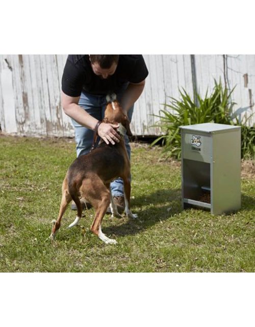 Load image into Gallery viewer, Alimento Seco Automático De Acero Para Perro Chow Hound Capacidad De 25 Libras
