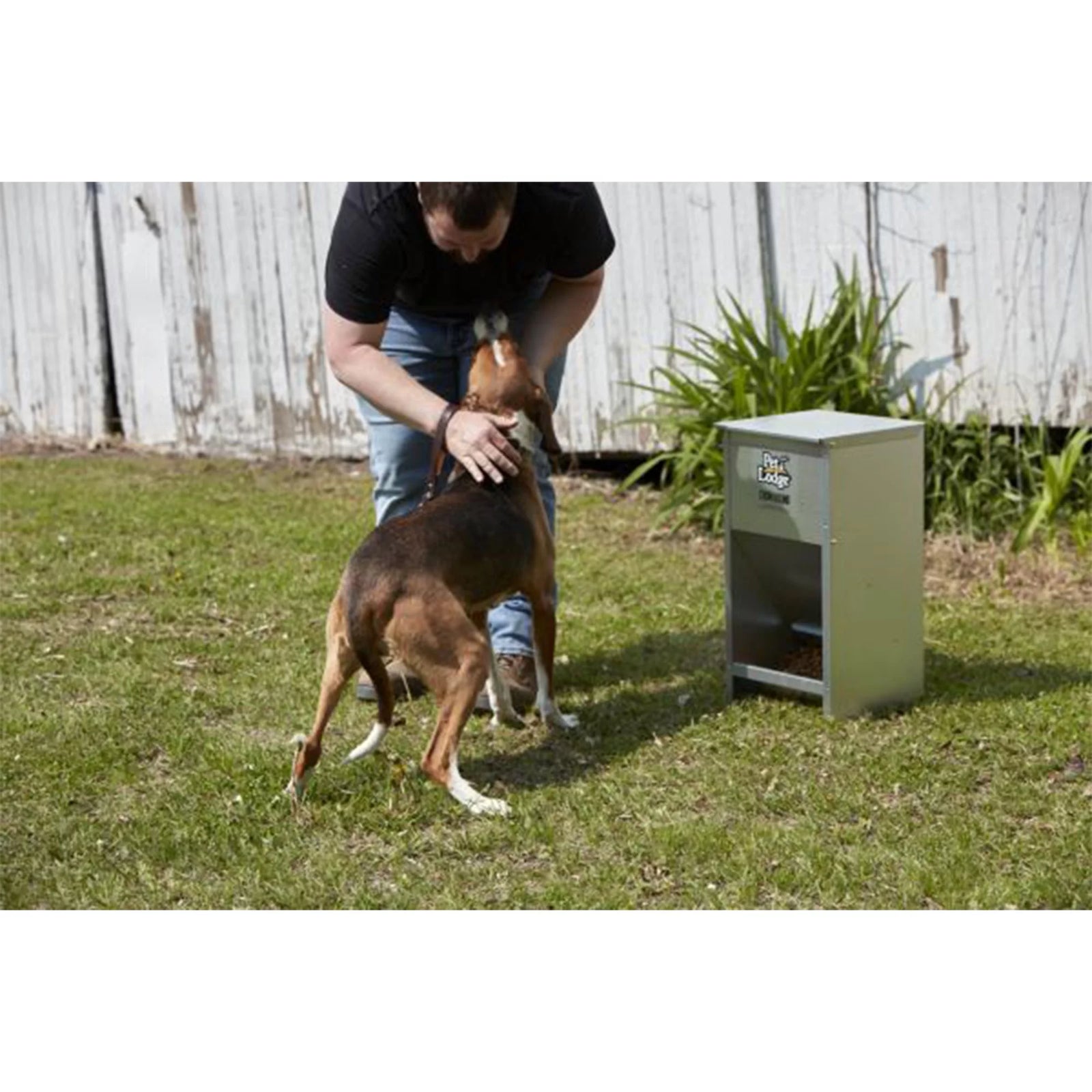 Alimento Seco Automático De Acero Para Perro Chow Hound Capacidad De 25 Libras