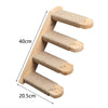 Cat Step B