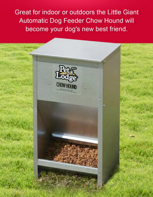 Load image into Gallery viewer, Alimento Seco Automático De Acero Para Perro Chow Hound Capacidad De 25 Libras
