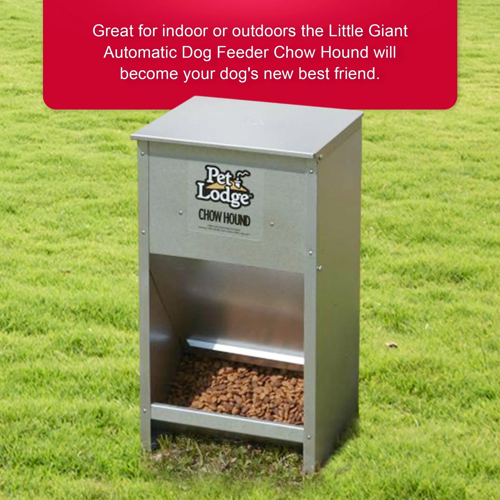 Alimento Seco Automático De Acero Para Perro Chow Hound Capacidad De 25 Libras