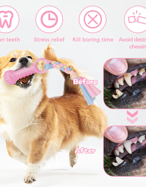 Load image into Gallery viewer, Paquete De 5 Juguetes Masticables Para Cachorros Para La Dentición De Perros Pequeños, Juguetes De Dentición Para Cachorros De Goma Rosa De Peluche Con Chirrido Juguetes Para Perros Para Limpiar Dientes Juguetes Interactivos De Huesos Para Perros
