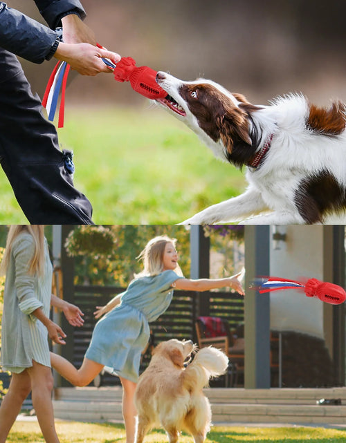 Load image into Gallery viewer, Dog Squeaky Toy for Large Medium Chewers, Interactive Dog Toys."Clearance Product, Random Color, Please Don'T Purchase If You Mind."
