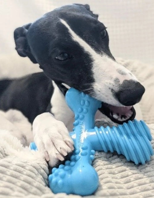 Load image into Gallery viewer, Power Chew Comfort Hold X Bone Dog Toy, Dog Chew Toy, Beef Flavor, Large, 1 Count
