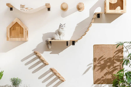 Cat Wall Climbing Shelf Steps Ladder Scratching Post Scratcher Bed Hiding House for Cats Tree Tower Pet Furniture Accessories