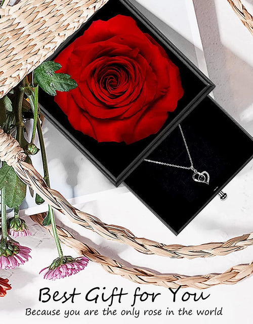 Load image into Gallery viewer, Rosa Roja Real Preservada Con Collar I Love You En 100 Idiomas - Flores Eternas Regalos De Rosas Para Mamá Esposa Novia Ella En Navidad Día De San Valentín Día De La Madre Aniversario Regalos De Cumpleaños Para Mujer
