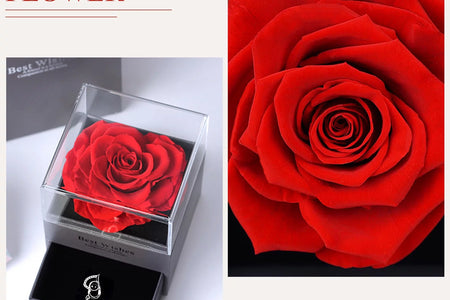 Rosa Roja Real Preservada Con Collar I Love You En 100 Idiomas - Flores Eternas Regalos De Rosas Para Mamá Esposa Novia Ella En Navidad Día De San Valentín Día De La Madre Aniversario Regalos De Cumpleaños Para Mujer