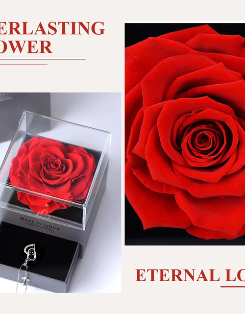 Load image into Gallery viewer, Rosa Roja Real Preservada Con Collar I Love You En 100 Idiomas - Flores Eternas Regalos De Rosas Para Mamá Esposa Novia Ella En Navidad Día De San Valentín Día De La Madre Aniversario Regalos De Cumpleaños Para Mujer
