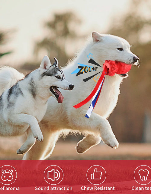 Load image into Gallery viewer, Dog Squeaky Toy for Large Medium Chewers, Interactive Dog Toys."Clearance Product, Random Color, Please Don'T Purchase If You Mind."
