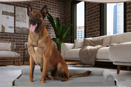 Asher Cama Pequeña Elevada De Madera Para Mascotas Con Colchón, Certificación Greenguard Gold