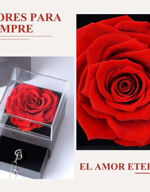 Load image into Gallery viewer, Rosa Roja Real Preservada Con Collar I Love You En 100 Idiomas - Flores Eternas Regalos De Rosas Para Mamá Esposa Novia Ella En Navidad Día De San Valentín Día De La Madre Aniversario Regalos De Cumpleaños Para Mujer
