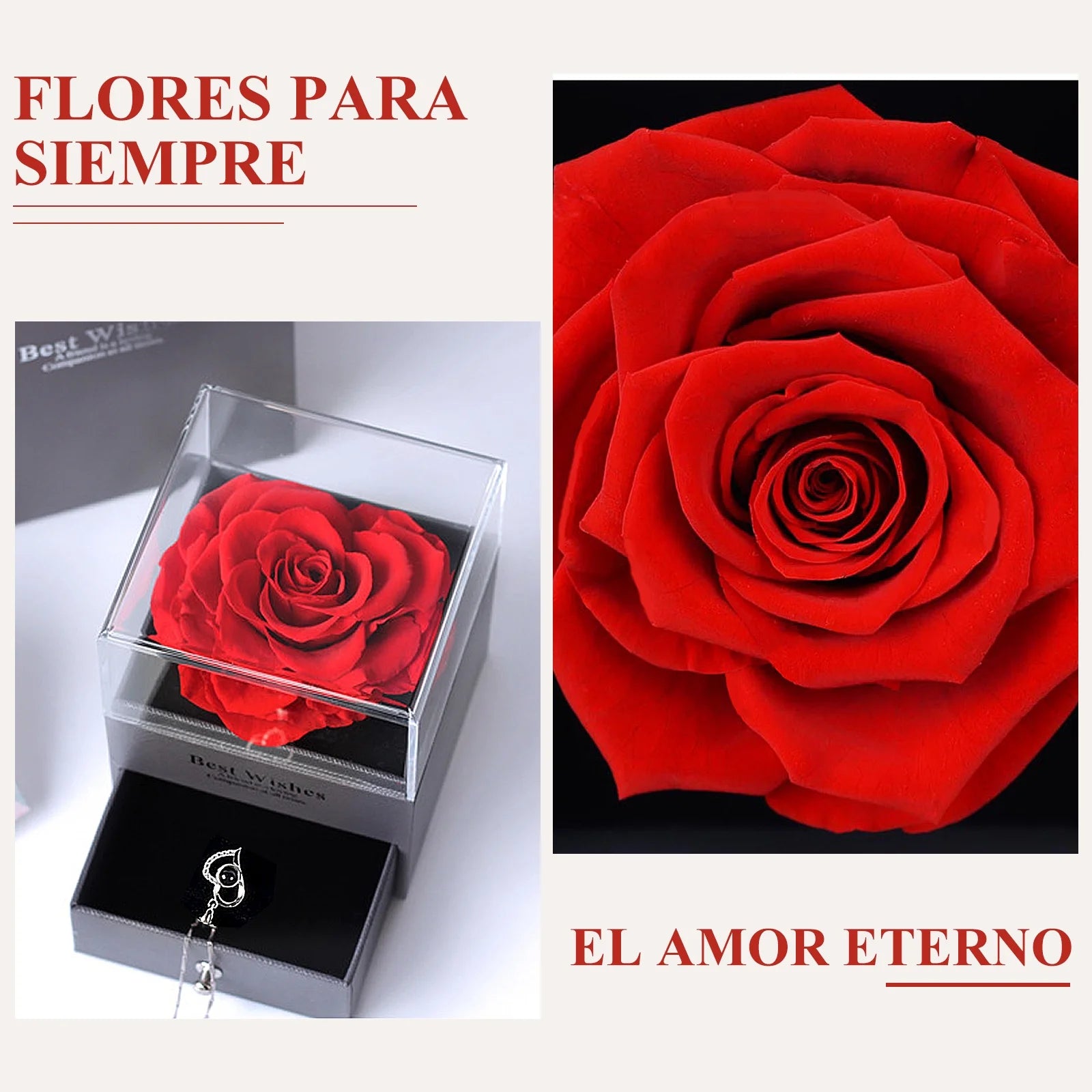 Rosa Roja Real Preservada Con Collar I Love You En 100 Idiomas - Flores Eternas Regalos De Rosas Para Mamá Esposa Novia Ella En Navidad Día De San Valentín Día De La Madre Aniversario Regalos De Cumpleaños Para Mujer