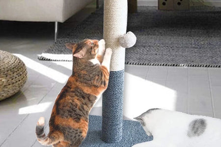 Rascador Para Gatos Con Pelota De Juguete, Fieltro Gris Y Sisal, Rascador Para Gatos