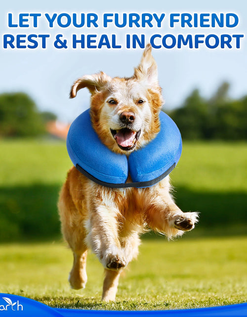 Load image into Gallery viewer, Inflatable Dog Cone (Medium), after Surgery Anti-Bite Lick Wound Soft &amp; Comfortable Protective Collar for Cats &amp; Dogs by
