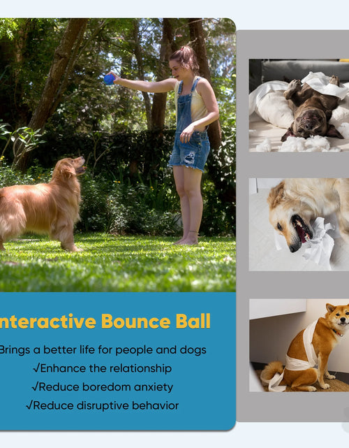 Load image into Gallery viewer, Pelota Interactiva De Juguete Para Perro, Pelota Activa Rodante Para Perros Con Luz LED Intermitente, Pelota De Juguetes Que Se Mueve Y Rebota Para Perros Medianos Y Grandes, Recargable Por USB, Azul
