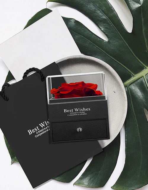 Load image into Gallery viewer, Rosa Roja Real Preservada Con Collar I Love You En 100 Idiomas - Flores Eternas Regalos De Rosas Para Mamá Esposa Novia Ella En Navidad Día De San Valentín Día De La Madre Aniversario Regalos De Cumpleaños Para Mujer
