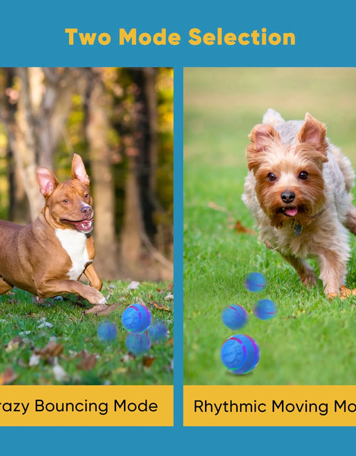Load image into Gallery viewer, Pelota Interactiva De Juguete Para Perro, Pelota Activa Rodante Para Perros Con Luz LED Intermitente, Pelota De Juguetes Que Se Mueve Y Rebota Para Perros Medianos Y Grandes, Recargable Por USB, Azul

