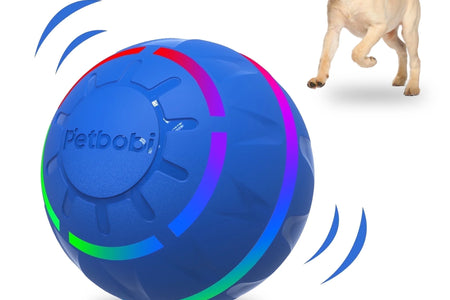 Pelota Interactiva De Juguete Para Perro, Pelota Activa Rodante Para Perros Con Luz LED Intermitente, Pelota De Juguetes Que Se Mueve Y Rebota Para Perros Medianos Y Grandes, Recargable Por USB, Azul