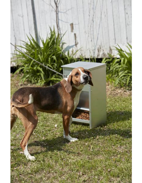Load image into Gallery viewer, Alimento Seco Automático De Acero Para Perro Chow Hound Capacidad De 25 Libras
