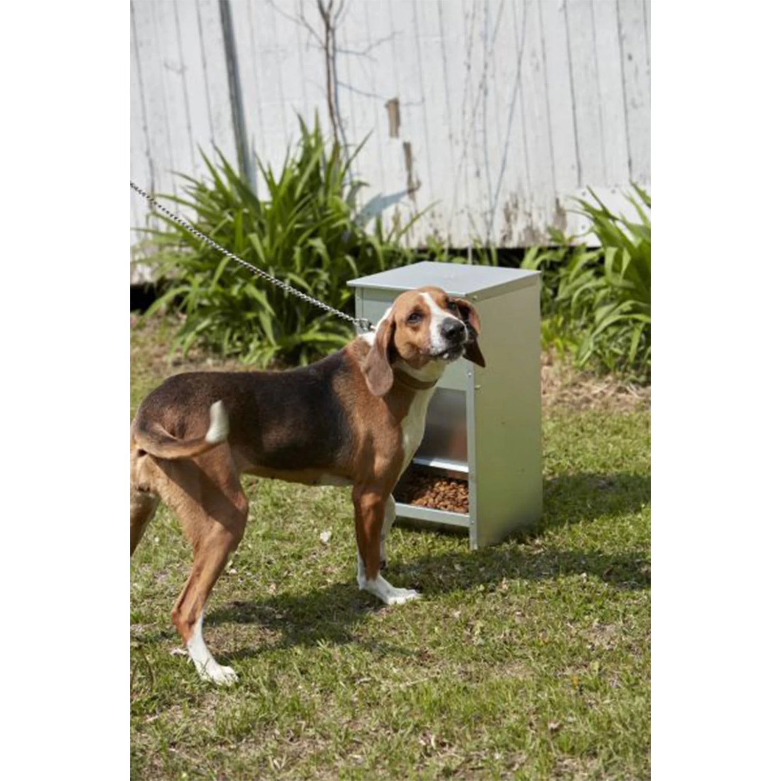 Alimento Seco Automático De Acero Para Perro Chow Hound Capacidad De 25 Libras