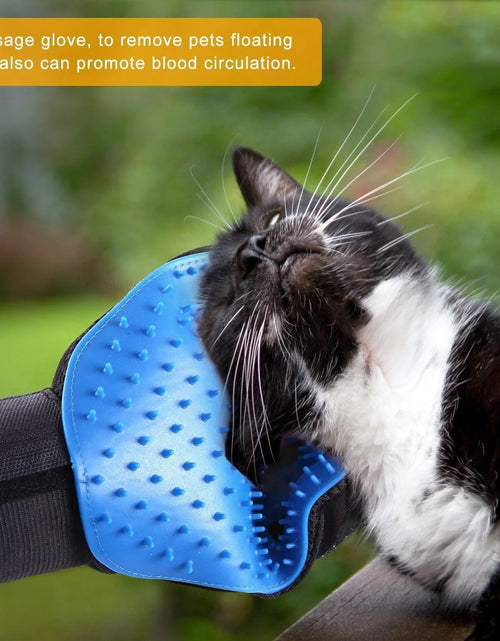 Load image into Gallery viewer, Pet Grooming Gloves Brush Dog Cat Hair Remover Mitt Massage Deshedding 1 Pair Blue
